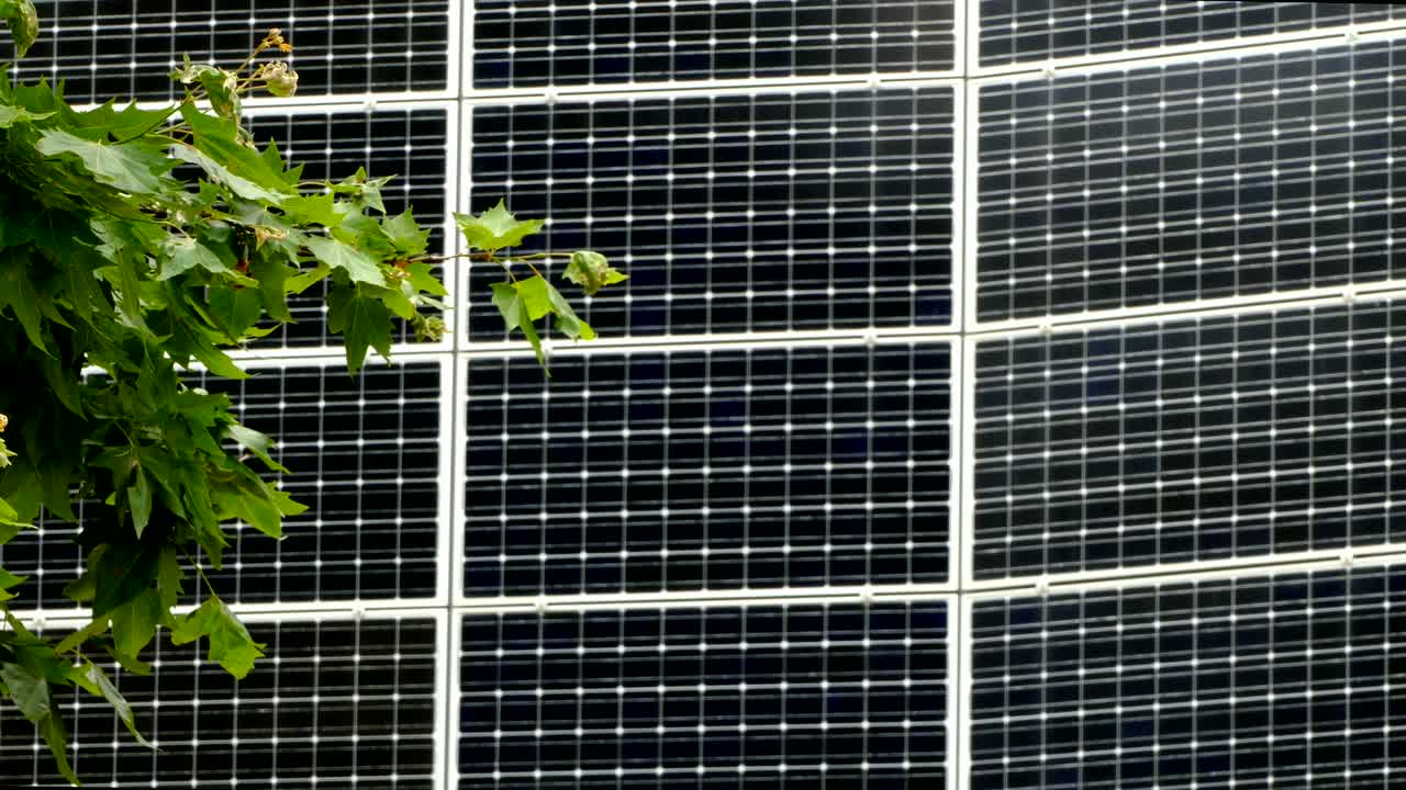 energía solar, fotosíntesis y viento concepto de energías naturales.