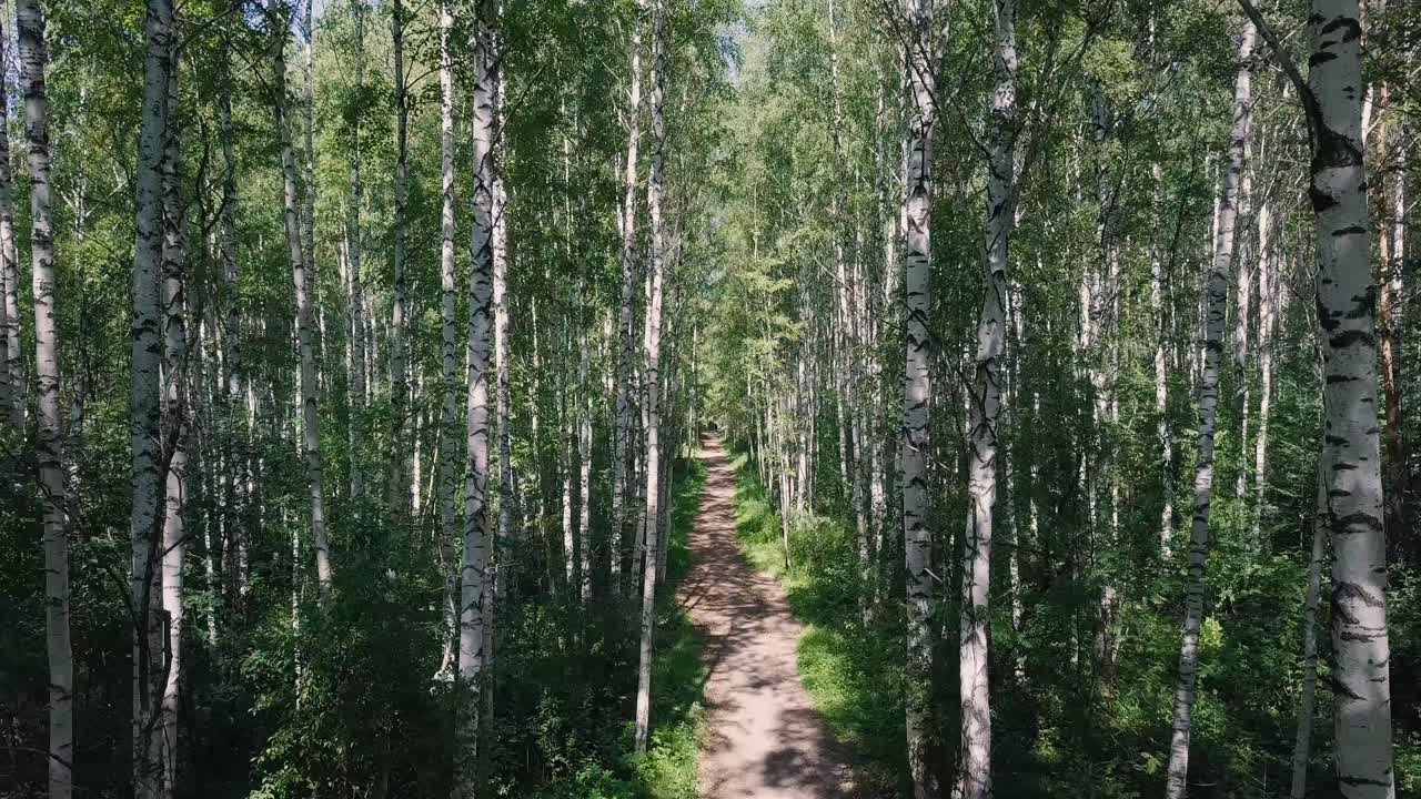 Koivumetsäpolku