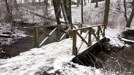 nevando afuera en el puente en el parque