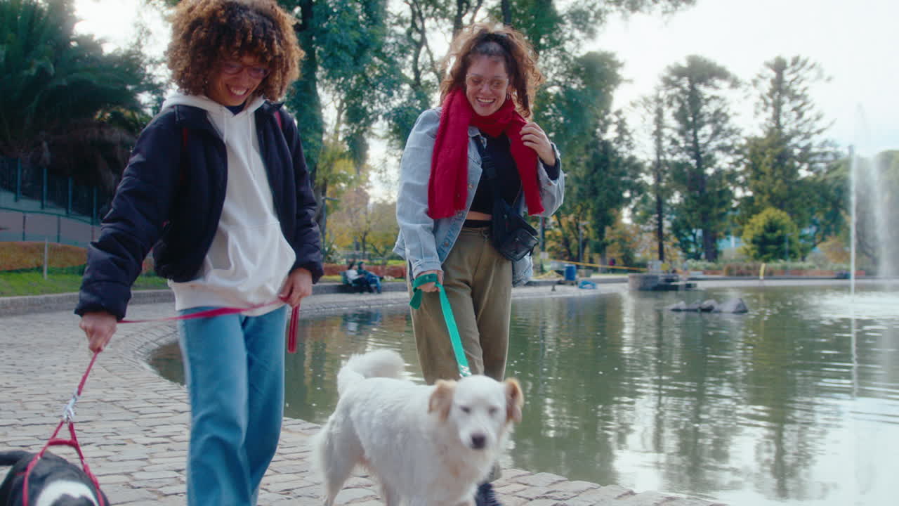Young Women Chatting on a Walk with Dogs in the Park