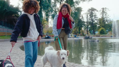 young women chatting on a walk with dogs in the park