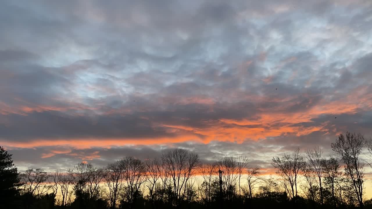 펜실베니아의 작은 마을 트리라인 포리스트의 일몰