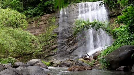 la belleza de una cascada en la selva con árboles y palmeras