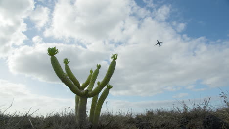 Avión-Volando-Contra-El-Cielo-Azul