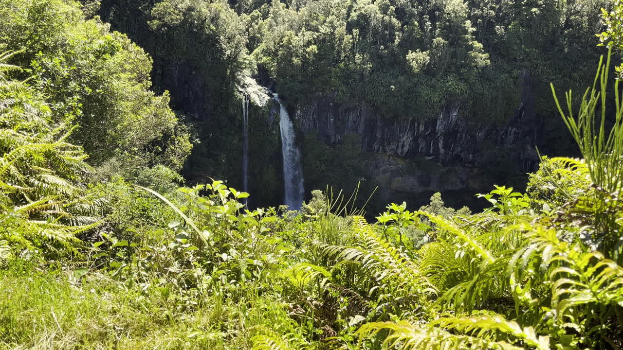 Dawson Falls im Egmont-Nationalpark auf der Nordinsel Neuseelands, Region Taranaki