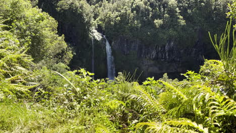 dawson falls in egmont national park at the north island of new zealand, taranaki region