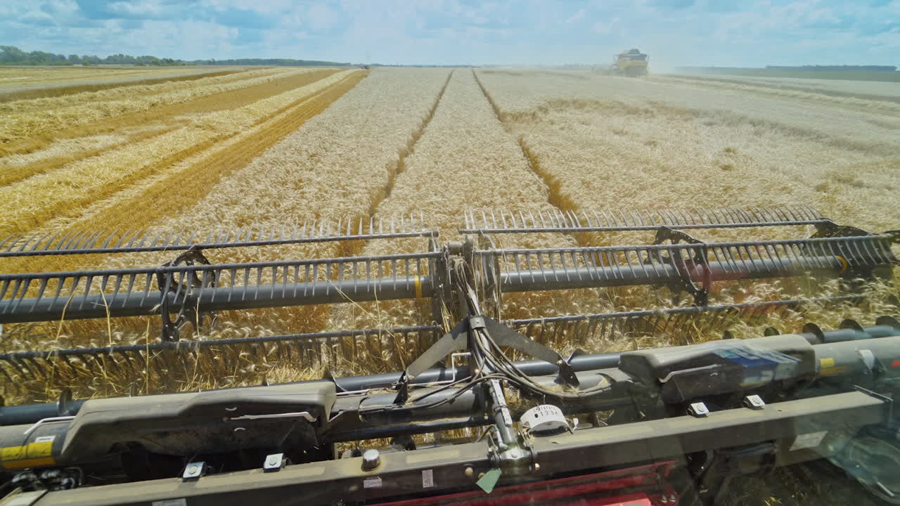 Metal detail of combine harvester at work. Agricultural machine cutting wheat ears on the yellow field. Seasonal works.