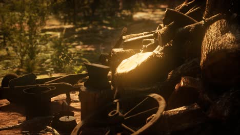 Preparation-of-firewood-for-the-winter-in-forest-at-sunset