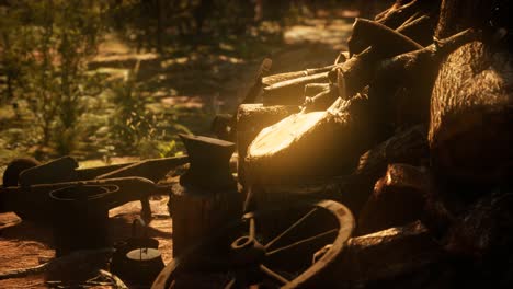 preparación de leña para el invierno en el bosque al atardecer