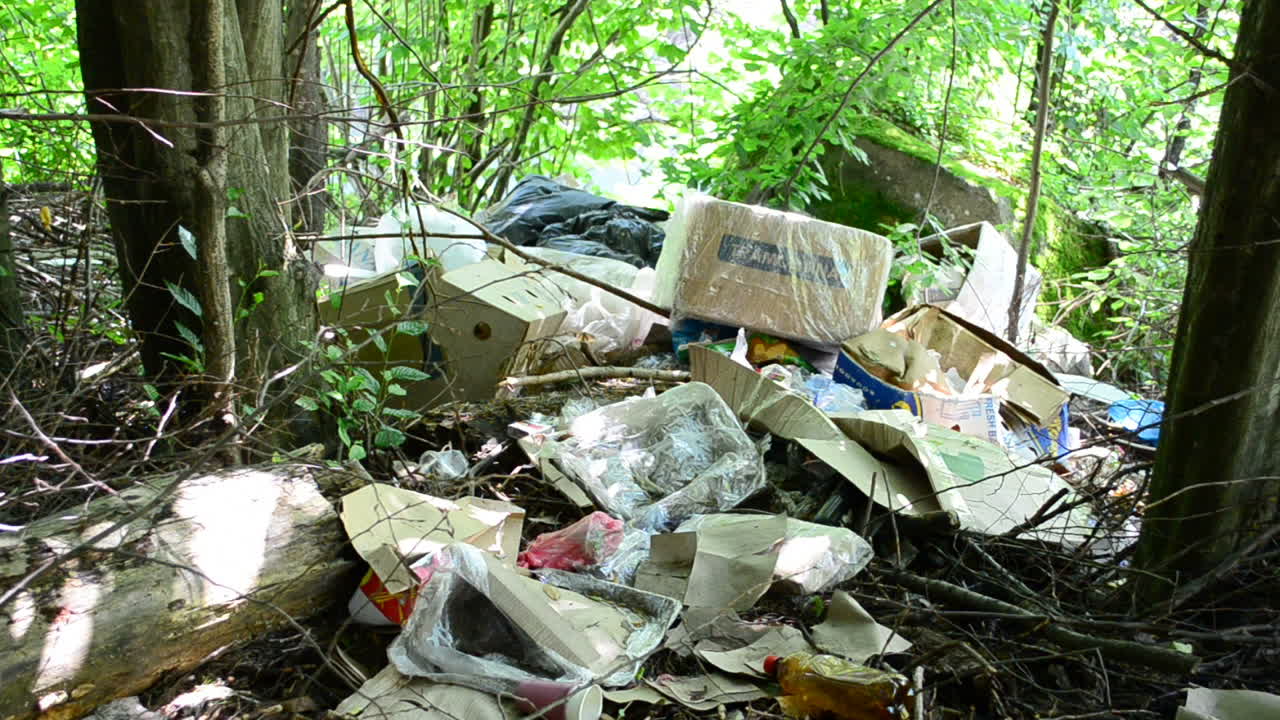 Müllkippe im Wald. Störung eines Ökosystems.