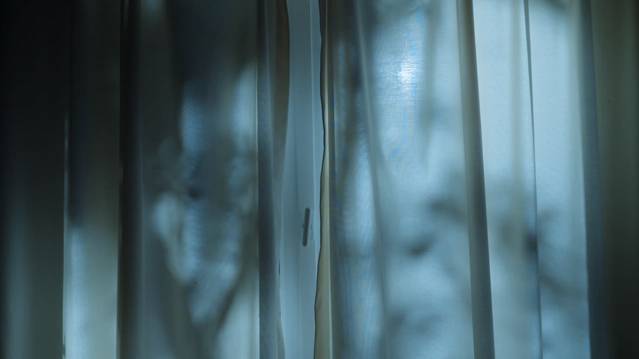 Moonlight shining on closed window curtain with tree shadows and dappled light appearing on fabric drape inside home or cabin. Full moon bright casting shadows of foliage. Scary or mysterious spooky