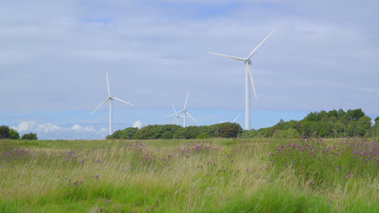 구름이 많은 여름날 잔디 ⁇ 을 가로질러 풍력 터빈을 향해 천천히 움직입니다.
