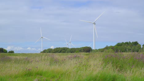 moviéndose lentamente hacia la turbina eólica a través de un prado de hierba en un día nublado de verano