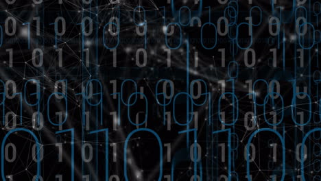 animation of network of connections over binary coding