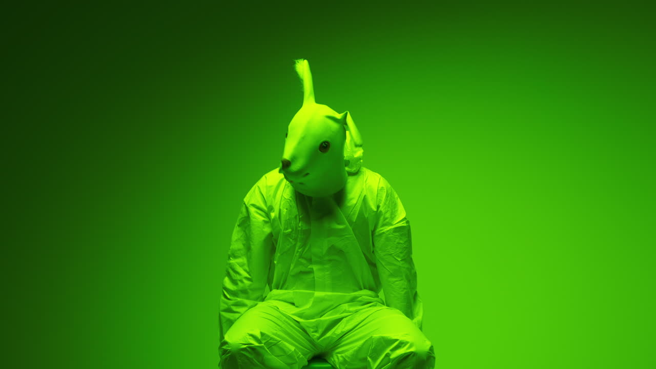 Person in a Green Rabbit Mask and Suit