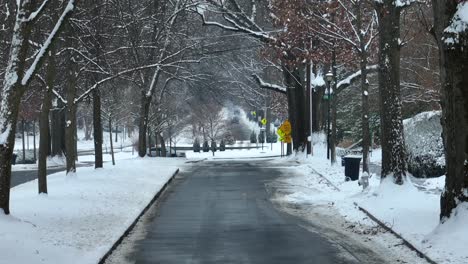 Aerial-low-shot-of-a-road-between-lines-of-trees