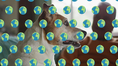 animation of globe icons over dog