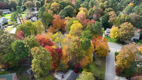 Drone-flyover-with-tilt-up-of-neighborhood-fall-leaves-changing-color