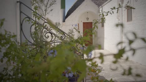 la linda puerta de una casa blanca con plantas en alberobello