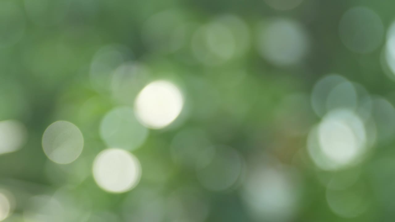 movimiento hacia abajo fondo bokeh en verde