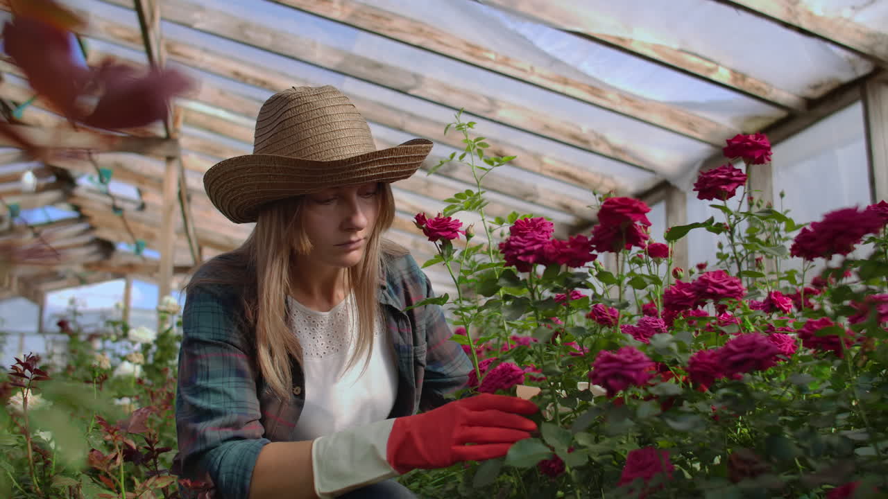 Una giovane fiorista in una serra di fiori è seduta, esamina le rose, le tocca con le mani e sorride. Una piccola attività floreale. Una giardiniera lavora in una serra con i fiori.