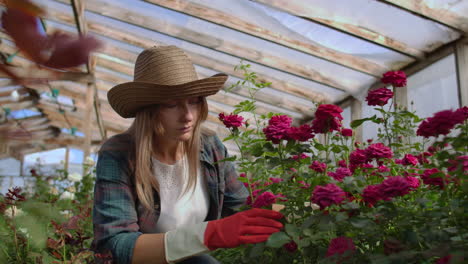 Girl-florist-in-a-flower-greenhouse-sitting-examines-roses-touches-hands-smiling.-Little-flower-business.-Woman-gardener-working-in-a-greenhouse-with-flowers