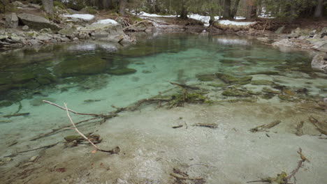 Wald-Mit-Schnee-Und-Bach-Mit-Kristallklarem-Wasser,-Pfanne-Links-rechts,-Kurz-4K,-Sony-A6300,-25p,-S-Log2