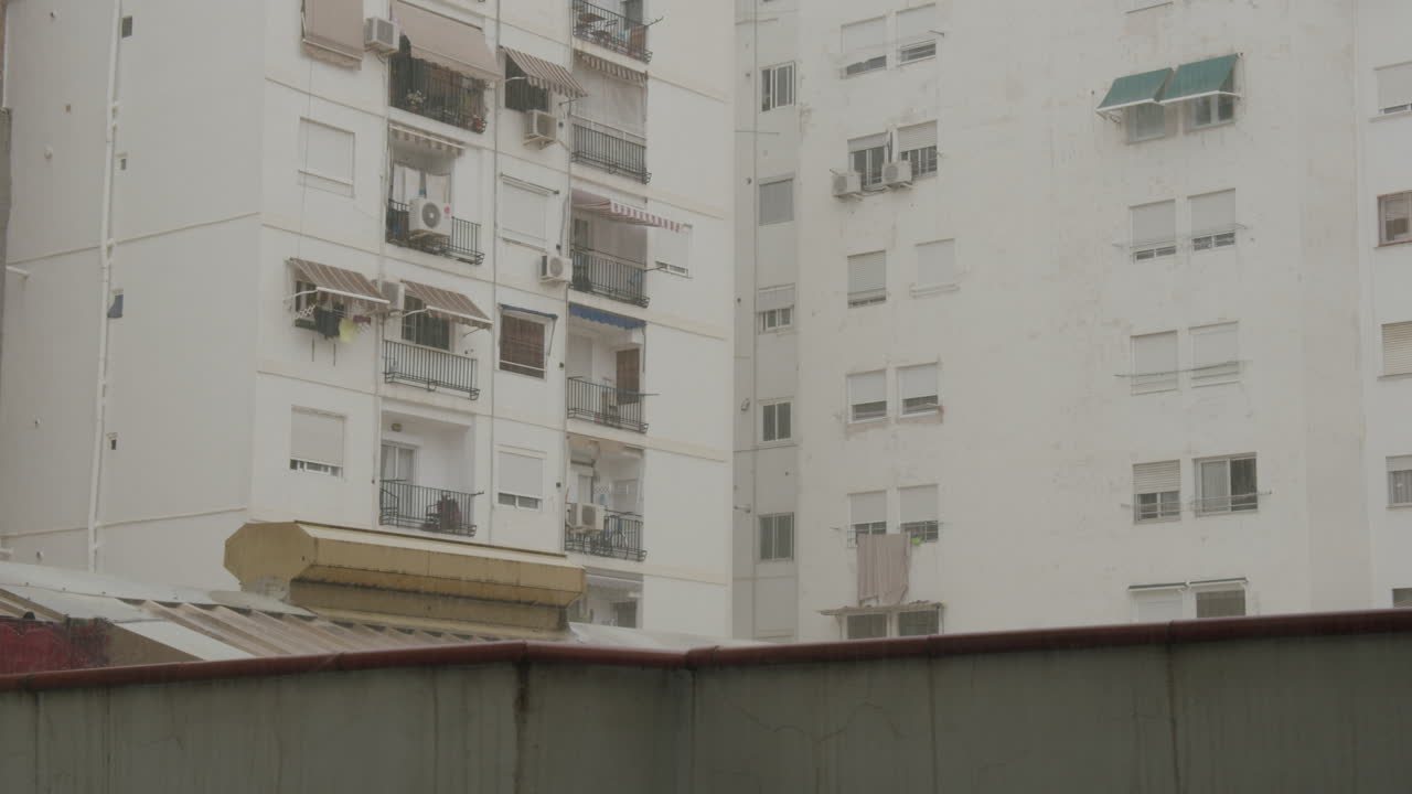 스페인 발렌시아 시의 비