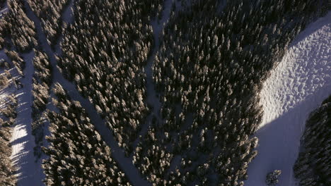 Aerial-top-down-cinematic-view-of-moguls-ski-run-ski-trails-mid-winter-with-fresh-snow-day-time-at-Copper-Mountain