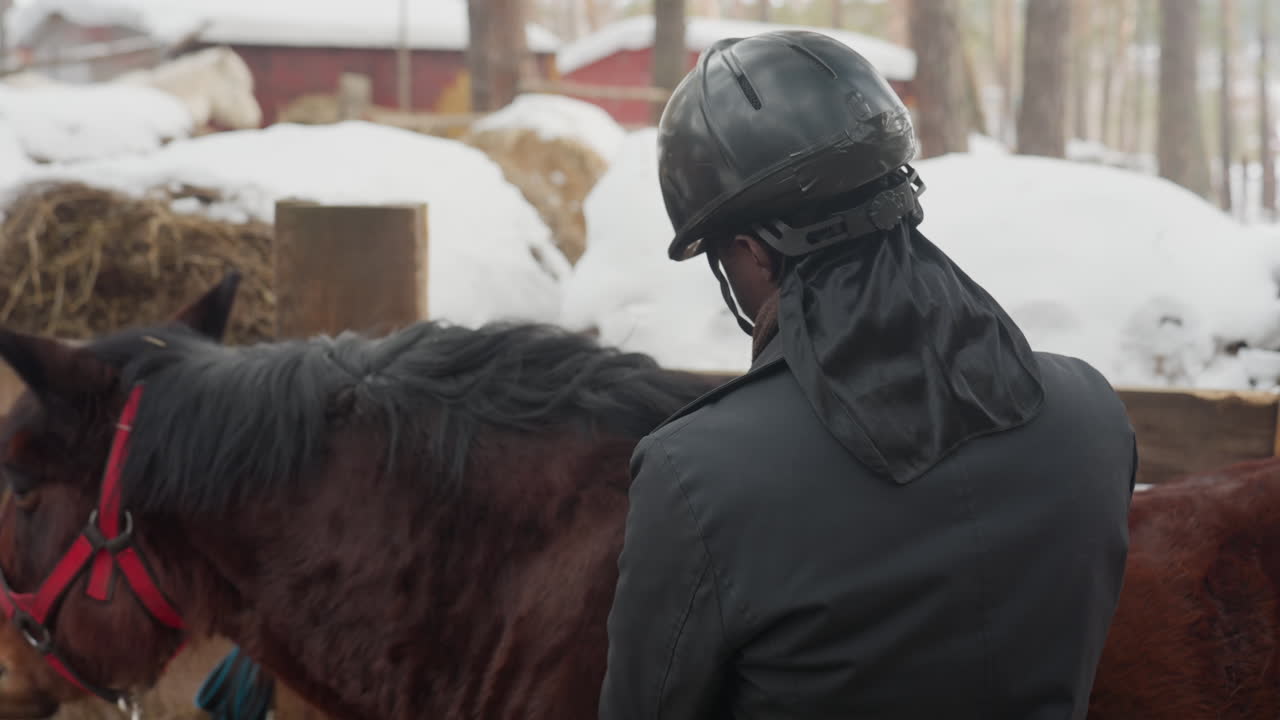 Уход за лошадью на открытом воздухе: мужчина чистит лошадь щеткой возле заснеженного забора, человек ухаживает за лошадью в зимних условиях на открытом воздухе, человек чистит лошадь щеткой за заснеженным загоном, используя средства защиты