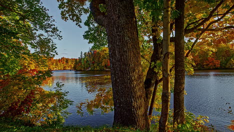 timelapse of a lake in an autumn forest with green, yellow and orange leaves on a sunny day