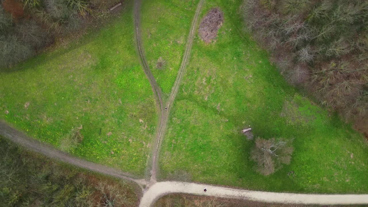 filmándome desde el cielo sobre esta tierra verde en los bosques de vincennes