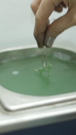 close-up of a hand dipping an object into a green liquid