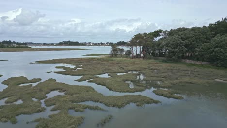 drone volando sobre el área pantanosa de morbihan saint colombier en gran bretaña, francia