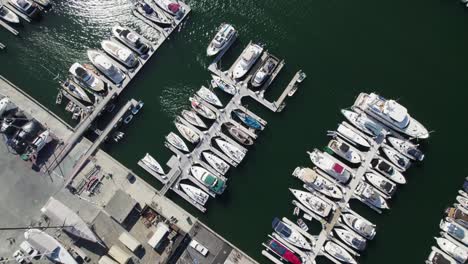 drone shot of yachts and sailboats docked in harbor