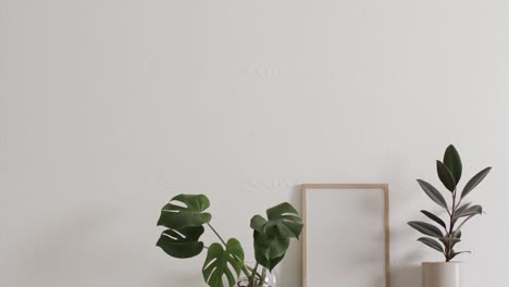 wooden frame with copy space on white background with plants against white wall