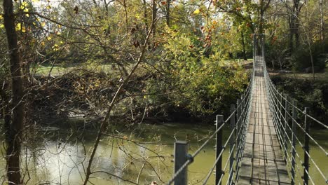 suspension bridge over a river in the woods during the autumn season