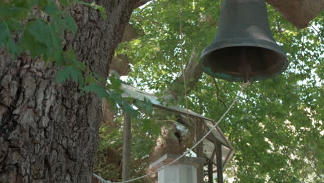 Slow-Motion-Pan-of-Large-Bronze-Bell-Hanging-from-Tree