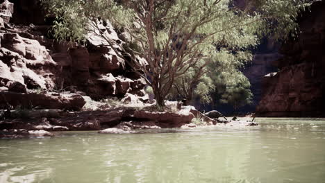 scenic canyon river landscape