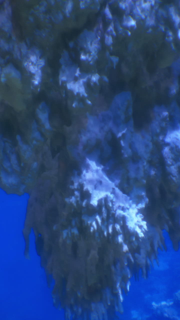 Underwater rock formation surrounded by vibrant coral and fish activity