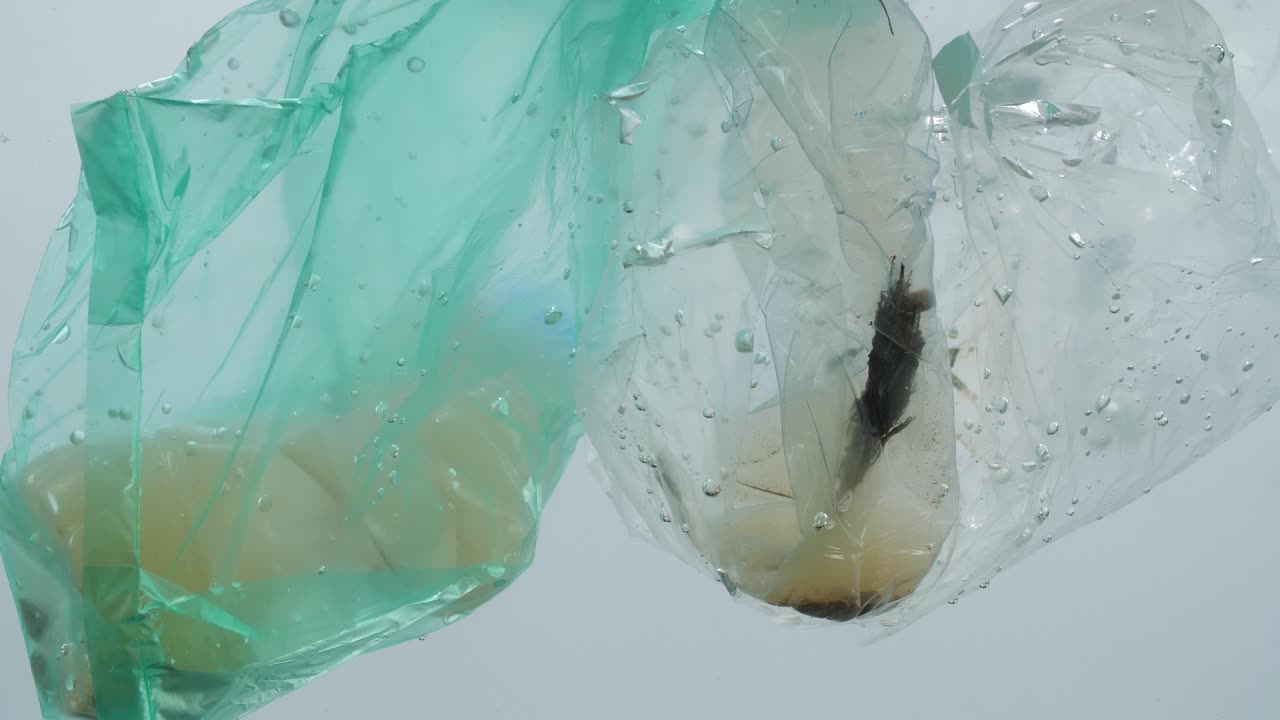 바다에서 플라스틱 오염 문제 개념의 수중 영상