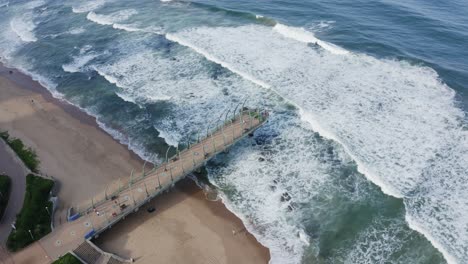 muelle ballena 01