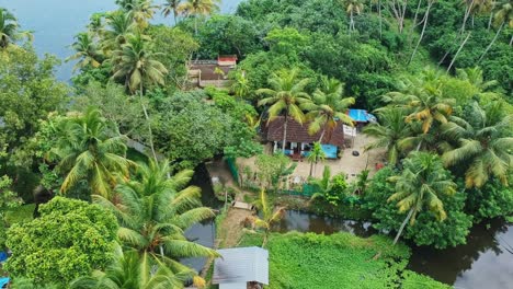 Aerial-view-of-a-village-house-standing-near-a-water-body-,-Houses-standing-by-the-lake-,-A-house-in-the-middle-of-a-coconut-grove-