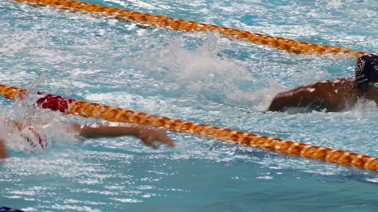 Close-up view of swimmers performing freestyle strokes in a competitive race, highlighting their technique and speed.