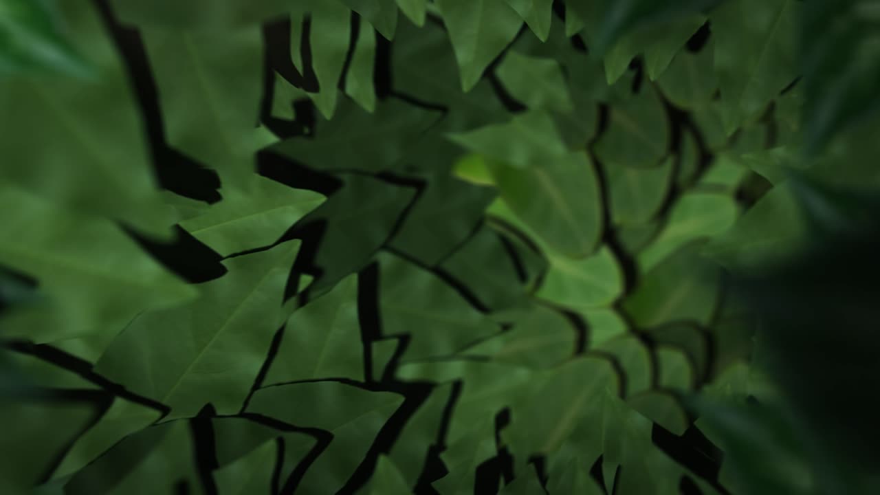 Forest Leaves Tunnel - Seamless Loop