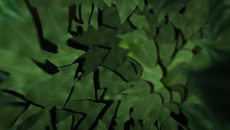forest leaves tunnel - seamless loop