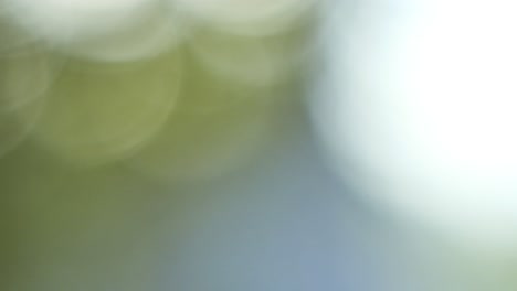hermosa fuga de luz de fuego de campamento bokeh ahumado