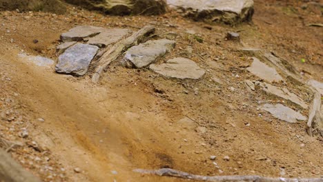 Nahaufnahme-Fahrradrad,-Das-Auf-Feldweg-Vorbeigeht