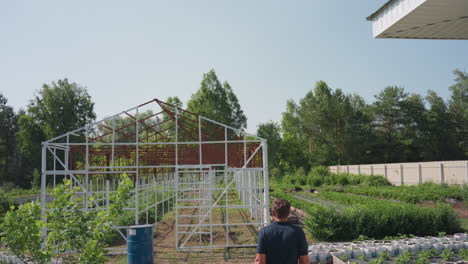 farmer walking toward farm carrying wooden crate past greenhouse frame and wheelbarrow on sunny day, grass and plants around, looking ahead
