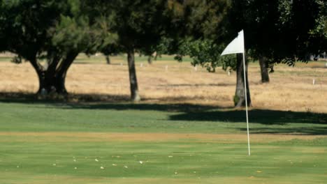 Una-Bandera-Blanca-Ondea-Con-Viento-Fuerte-En-Un-Campo-De-Golf-Verde